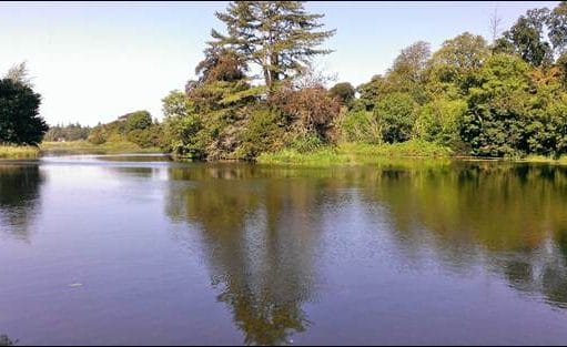 The lower end of the Rye Lake pictured yesterday.