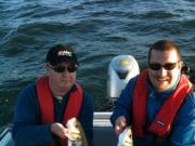 Bass on the double and pollack on the fly in Cork Harbour Double hook of bass