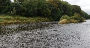 Great trout fishing reported on Munster Blackwater
