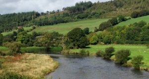 Munster Blackwater angling report W/E May 31st