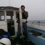 20lb conger