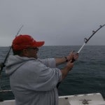 Fish on Colin