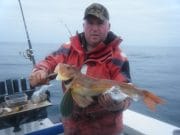 Screaming Reels around Rosslare Seirt Shults