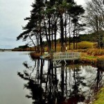 Carrigavantry