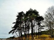 Irish Angling Update – 10/10/2013