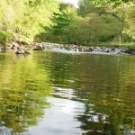 Cashel Trout Fishery