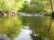 Cashel Trout Fishery hold their annual competition on Saturday October 26th