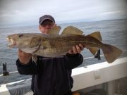 Fishing the wrecks in Cork…