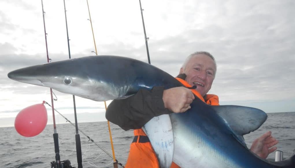 After one of the best fights we have seen Anto got to grips with this stunning blue