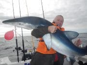 Murphy's Mush tempts big blues outside Cork Harbour over the weekend After one of the best fights we have seen Anto got to grips with this stunning blue