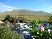 448 Salmon and 182 Sea Trout for beautiful Delphi