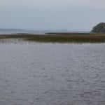 A Choppy Melvin Where Many Fish Will Find Sanctuary Until Spawning In A Few Months Time.