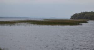 A Choppy Melvin Where Many Fish Will Find Sanctuary Until Spawning In A Few Months Time.
