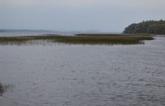A very quiet week on Lough Melvin A Choppy Melvin Where Many Fish Will Find Sanctuary Until Spawning In A Few Months Time.