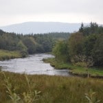 The Island Pool This Afternoon.