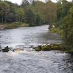 The Mill Pool Earlier Today.