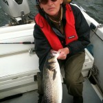 Eire Bass – Sue Heron