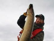 Mind blowing pike on fly in the Foxford area for first time visitor 108cm pike
