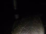 Mackeral still chasing sprat ashore and the schoolies providing sport in Wexford