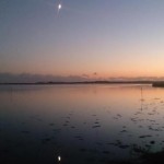 Gerard Doran – Moonlight