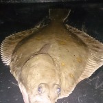 Gerard Doran – October fishing 2