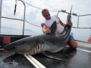 370lb Porbeagle for Joe onboard the Predator