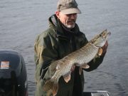 Dutch anglers back to Ireland for more pike action in Longford Ronnie loses a big Pike, and then lands this one minutes later