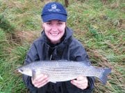 Wicklow Produces Mullet and Bass for Josie and Chris