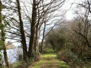 The river bank walk beside the Laune is one of the many attractive heritage walks around the town.