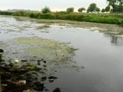 Lough Ree water levels under scrutiny – Longford Leader The water level on the River Shannon and Lough Ree have been lowered. Photo - Declan Gilmore