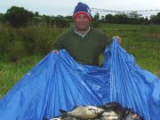 Bream, hybrids, roach and an odd tench on feeder in Longford area Bream, Hybrids and Roach.