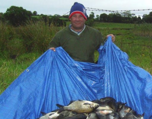 Bream, Hybrids and Roach.