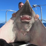 Paul Strange with his 203lbs common skate