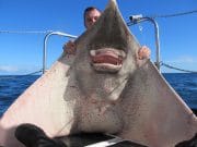 Paul Strange with his 203lbs common skate
