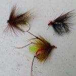 Richie Johnston – Flies 2