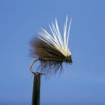 Sedge – Elk Hair Caddis – Black – CDC