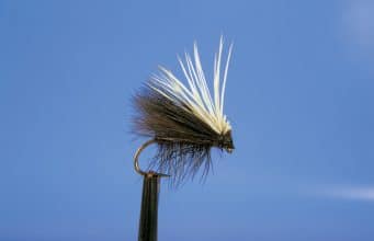 Dundalk and District Brown Trout and Salmon Anglers Association Start Their Fly Tying Classes