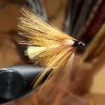 Sheelin – An Octopus wet