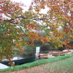 Sheelin – Lough Sheelin, October 2013