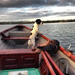 Sheelin – Millie on the look out for fish