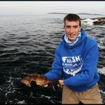 Steven Neely – Wrasse 3