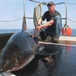 Thomas  Shark  1.