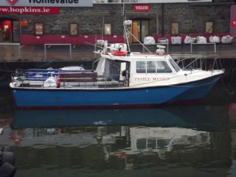 Castle Maiden in Wicklow safe and sound after her trip from Cork.