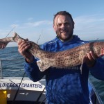 More fine BullHuss came to Paul Bolger's crew in 60Metres of water, hard work !