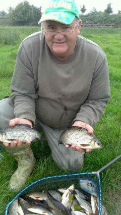 Bream, Hybrids and Roach