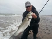 Unseasonably mild weather keeps bass feeding hard in Co. Kerry