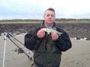 Turbot and Palm Sized Bass on Louth Coastline