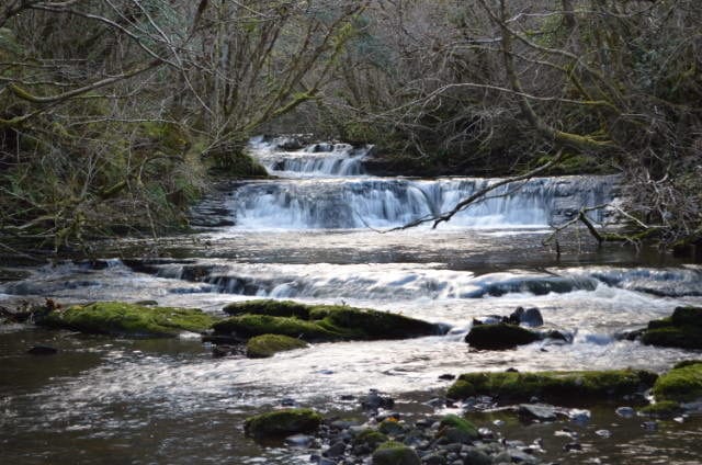 Fowley’s Falls Fowley’s Falls