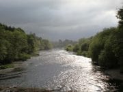 Low water on Laune last week, 2 salmon reported River LAune