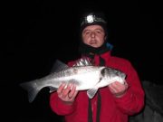 Silver bars from the Copper Coast Another fish for Gazzy
